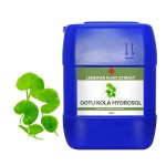 Gotu Kola Hydrosol Factory - Barrier Repair Acne Care