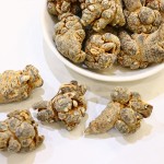 Panax Notoginseng Factory - Wild Sanqi Root Export