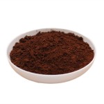 Reishi Mushroom Powder Manufacturer - Ganoderma Spore Extract