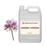 Geranium Hydrosol Manufacturer - Balancing Firming Facial