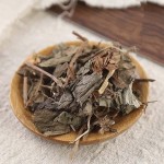 Houttuynia Herb Supplier - Bulk Impurity Free