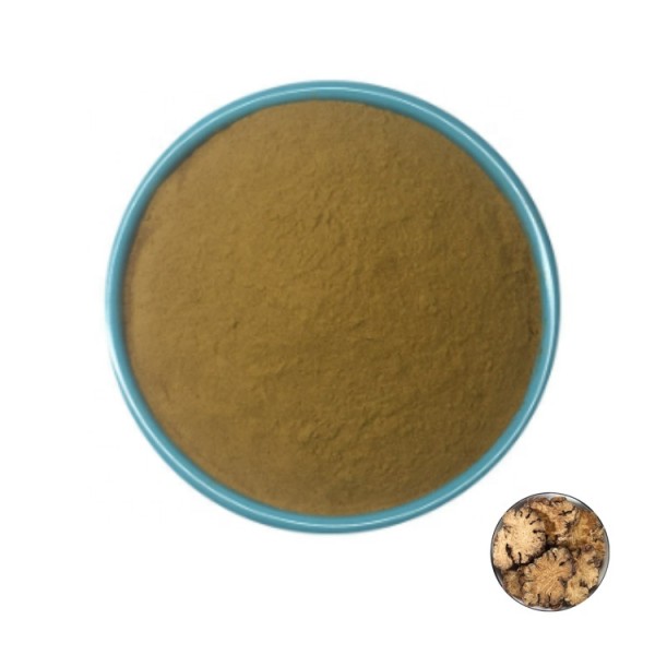 Chuanxiong Extract Supplier - Ligusticum Wallichii Powder