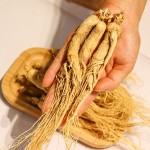White Ginseng Root Supplier - Dried Chinese Ginseng