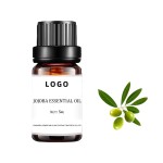 Jojoba Oil Manufacturer - OEM Cold Pressed Carrier