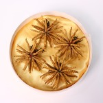 Cordyceps Militaris Supplier - Artificial 3200pcs kg