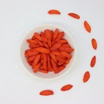 Goji Berry Manufacturer - Organic Chinese Wolfberry