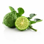 Bergamot Oil Supplier - Organic Hair Skin Care