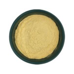 Honeysuckle Extract Factory - Chlorogenic Acid 5%