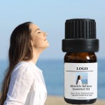 Rhinitis Relief Oil Supplier - Natural Aromatherapy Diffuser