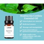 Houttuynia Essential Oil Supplier - Bulk Natural Perfume