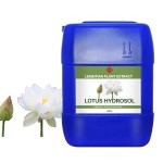 Lotus Hydrosol Supplier - Antioxidant Whitening Purifying