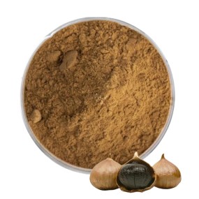Black Garlic Extract Supplier - Fermented Allicin 10:1