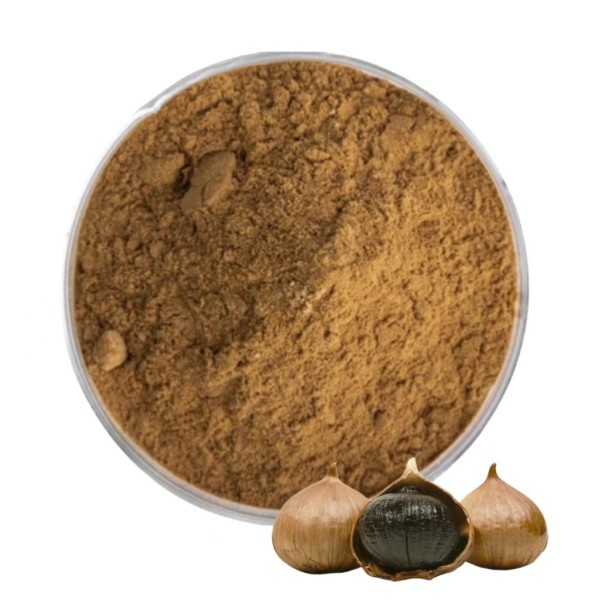 Black Garlic Extract Supplier - Fermented Allicin 10:1