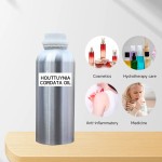 Houttuynia Essential Oil Supplier - Bulk Natural Perfume