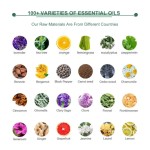 Immune Blend Oil Factory - Healthy Defense Aromatic