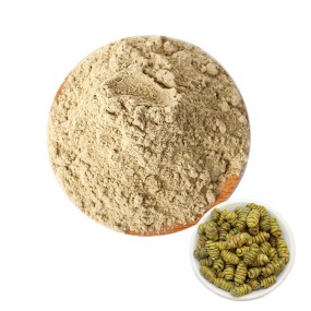 Dendrobe Extract Factory - Chinese Herb Healthcare