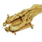 White Ginseng Root Supplier - Dried Chinese Ginseng