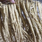 Codonopsis Slice Factory - Traditional Chinese Medicine