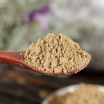 Chuanxiong Extract Supplier - Ligusticum Wallichii Powder