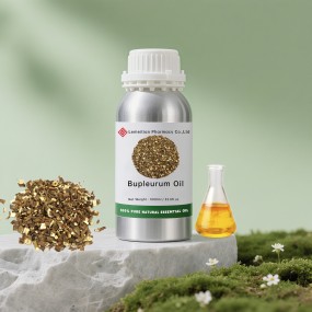 Bupleurum Essential Oil Factory - Wholesale Therapeutic Grade