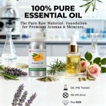 Turmeric Essential Oil Manufacturer - Cosmetic Grade Nourishing