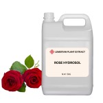 Rose Hydrosol Spray Manufacturer - Hydrating Face Mist