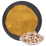 Isatis Root Extract Manufacturer - Traditional Herb Powder