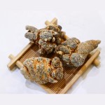 Ginseng Extract Supplier - Root Solvent Extraction