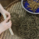 Cordyceps Sinensis Factory - Semi Wild 2600pcs kg