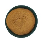 Isatis Root Extract Manufacturer - Traditional Herb Powder