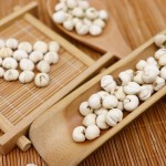 Fritillaria Extract Factory - Herbal Extract Powder