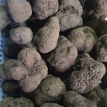 Black Truffle Slice Manufacturer - Yunnan Dried Selected