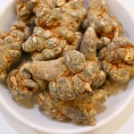 Panax Notoginseng Factory - Wild Sanqi Root Export