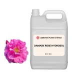 Rose Hydrosol Manufacturer - Steam Distilled Revitalizing