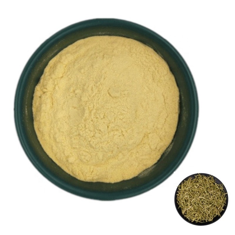 Honeysuckle Extract Factory - Chlorogenic Acid 5%