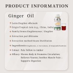 Ginger Essential Oil Supplier - Pure Natural Perfume