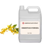 Osmanthus Hydrosol Factory - Private Label Dark Circles