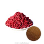 Cornus Officinalis Powder Factory - Fruit Extract 10:1