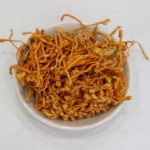 Cordyceps Extract Factory - Chinese Herb Powder