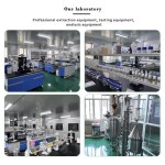 Spikenard Essential Oil Manufacturer - Steam Distilled Healthcare