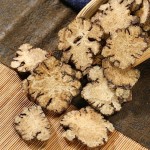 Chuanxiong Extract Supplier - Ligusticum Wallichii Powder