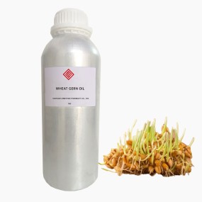 Wheat Germ Oil Supplier - Cold Pressed Skin Hair