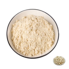 Fritillaria Extract Factory - Herbal Extract Powder