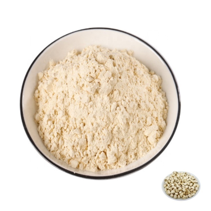 Fritillaria Extract Factory - Herbal Extract Powder