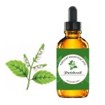 Patchouli Oil Supplier - Organic Inflammation Soothe