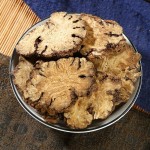 Chuanxiong Extract Supplier - Ligusticum Wallichii Powder