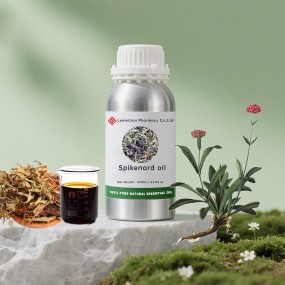 Jatamansi Essential Oil Supplier - Natural Aromatherapy Cosmetic