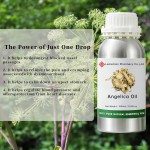 Angelica Oil Factory - Wholesale Herbal Extract