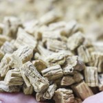 Codonopsis Slice Factory - Traditional Chinese Medicine