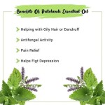Patchouli Essential Oil Manufacturer - Cosmetics Skin Brightening